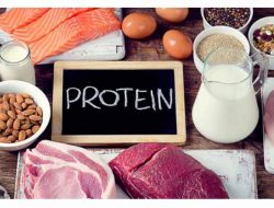 بهترین زمان مصرف پروتئین