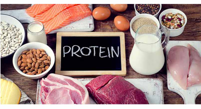 بهترین زمان مصرف پروتئین